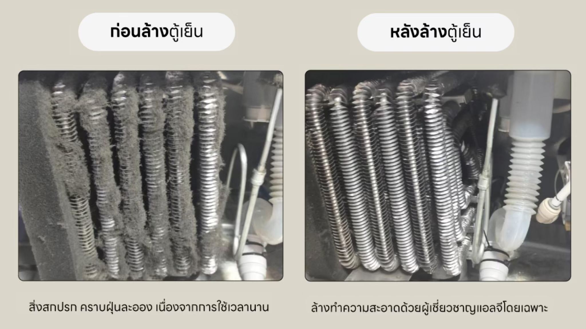 GC-J257SQZW.AEPPLMT 상세이미지 3